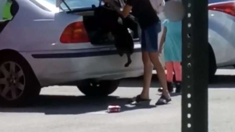 Woman facing charges after disturbing video shows her locking emaciated ...