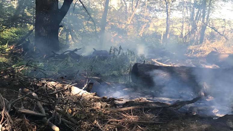 Firefighters extinguish brush fire at Methuen golf course Boston News