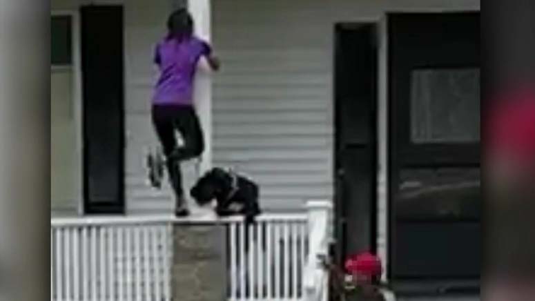 Police Investigating After Woman Seriously Hurt In Quincy Dog Attack Boston News Weather Sports Whdh 7news