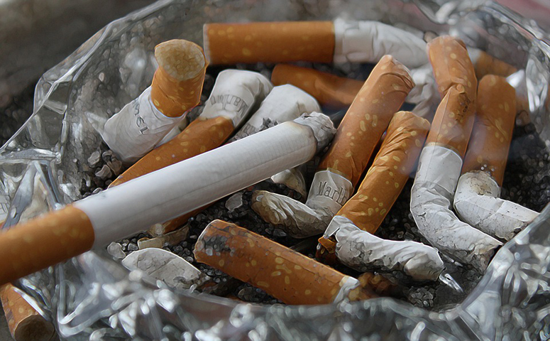 grandfather clause law massachusetts tobacco grandfather clause law massachusetts tobacco