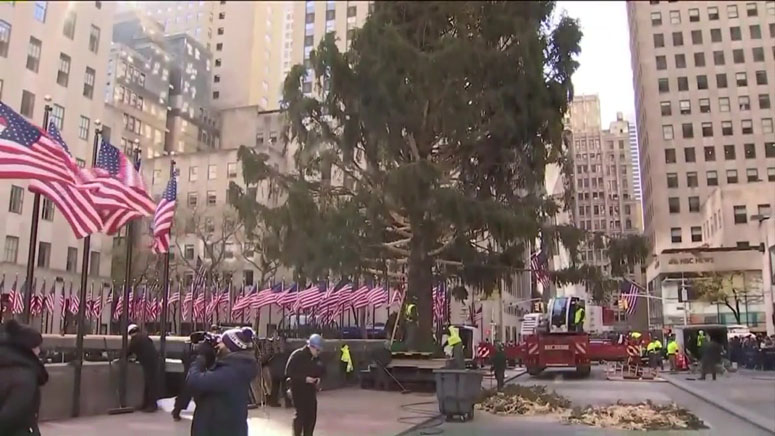 77-foot tree installed at New York City’s Rockefeller Center - Boston ...