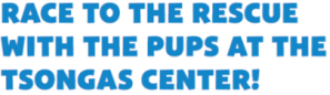 PAW PATROL TSONGAS ARENA