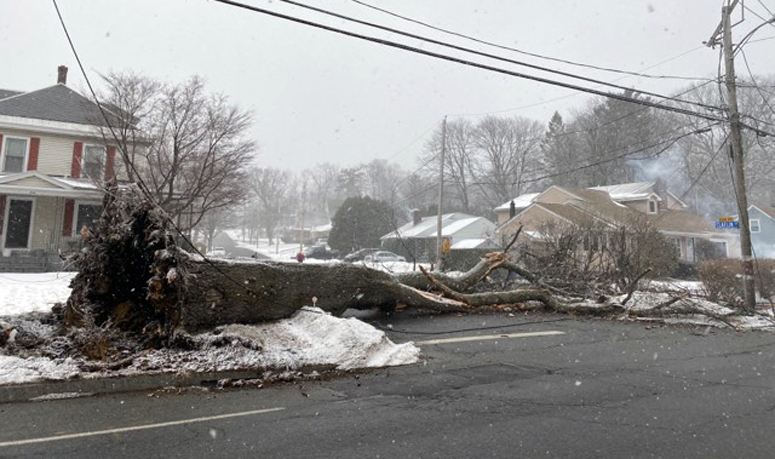 Hundreds Without Power In Leominster After Lightning Strike Topples Tree During Strong Snow Squall Boston News Weather Sports Whdh 7news