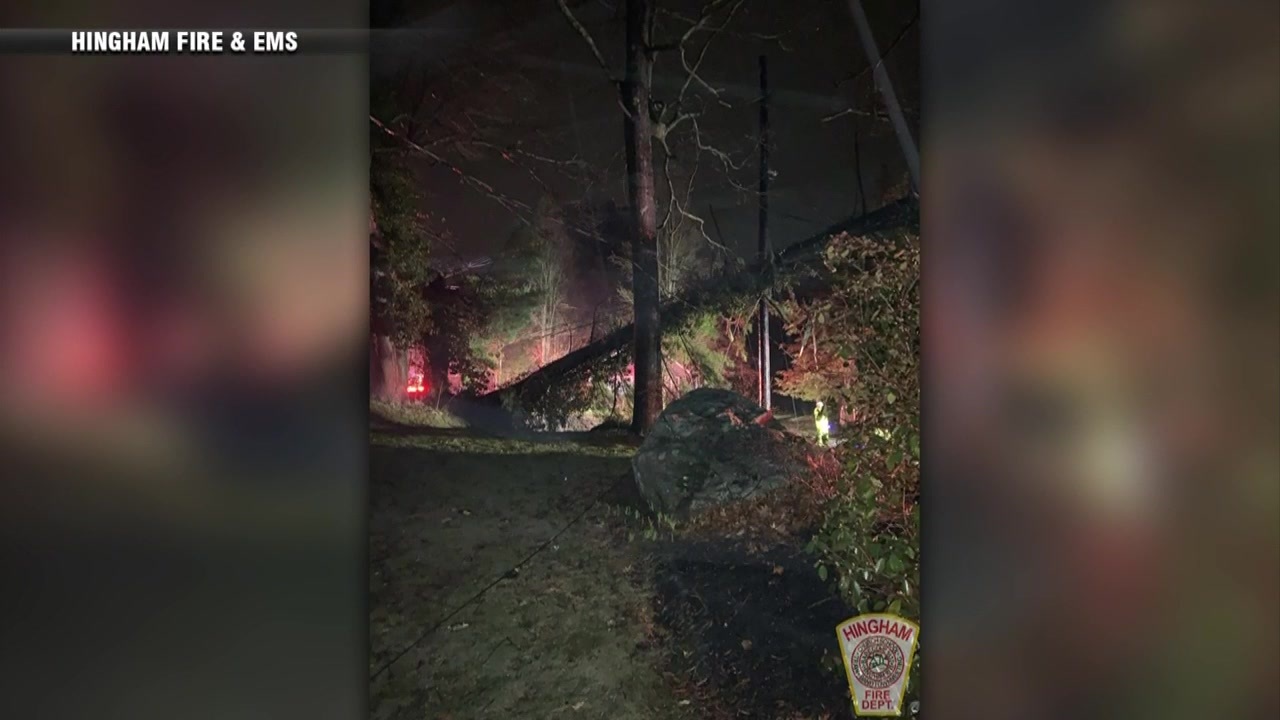 Downed Tree In Hingham Knocks Out Power To Hull Residents Boston News