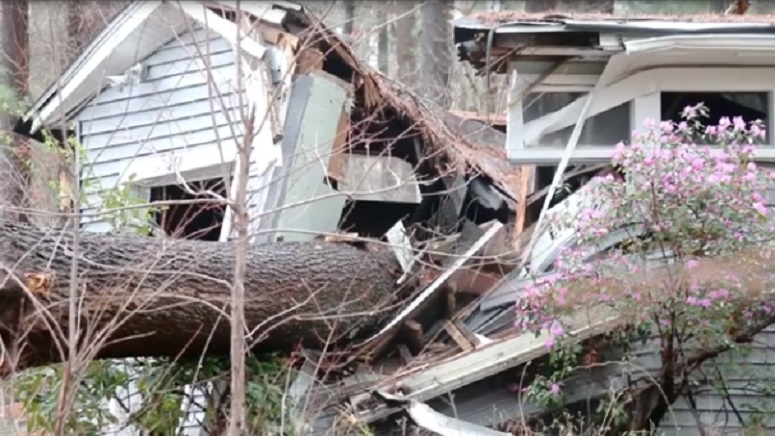 Falling Tree Cuts Hanover House In Half Boston News Weather Sports Whdh 7news