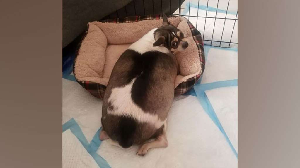Ramapo-Bergen Animal Refuge
