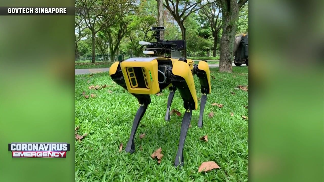 Singapore deploys Boston Dynamics’ robot ‘dog’ to encourage social