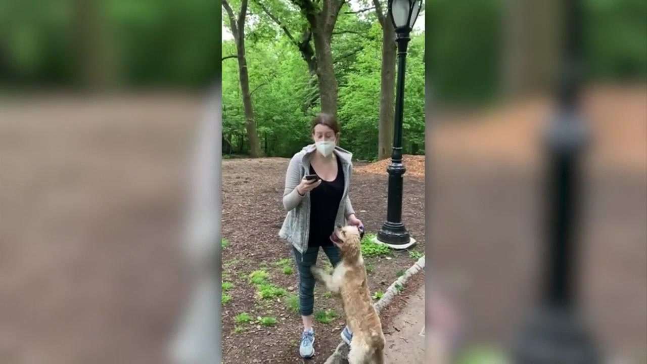 Animal rescue gives dog back to white woman who called police on black ...