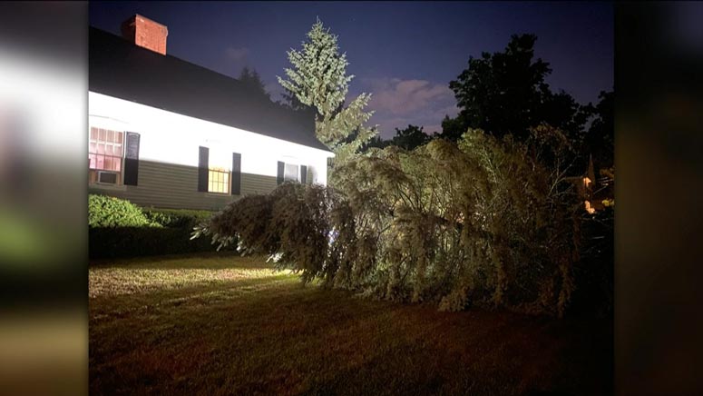 Strong Storms Down Trees Power Lines Across Much Of Eastern Mass Boston News Weather Sports Whdh 7news