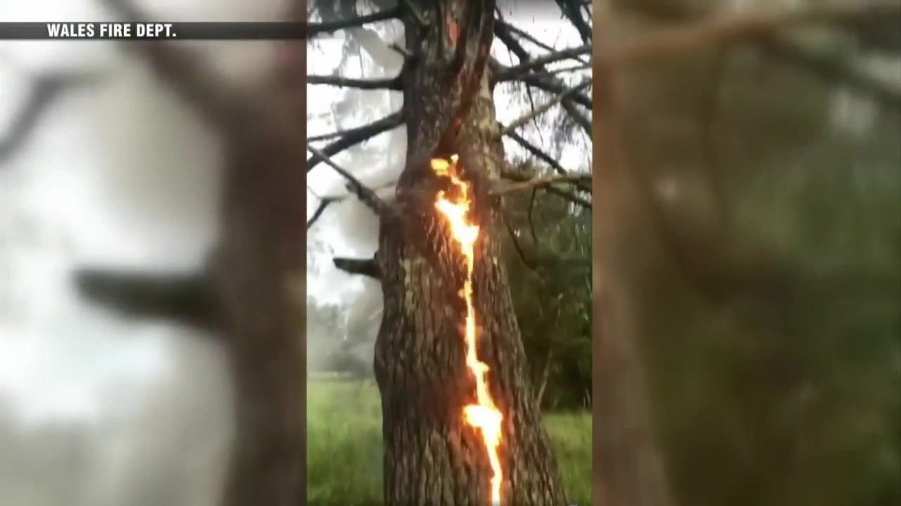 Tree Catches Fire After Getting Struck By Lightning In Maine Boston News Weather Sports 