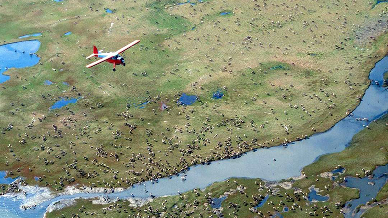 Trump administration finalizes plan to open pristine Alaska wildlife refuge to oil and gas drilling