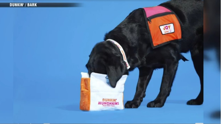 Dunkin' Teams with BARK to Offer Dog Toys for Charity - QSR Magazine