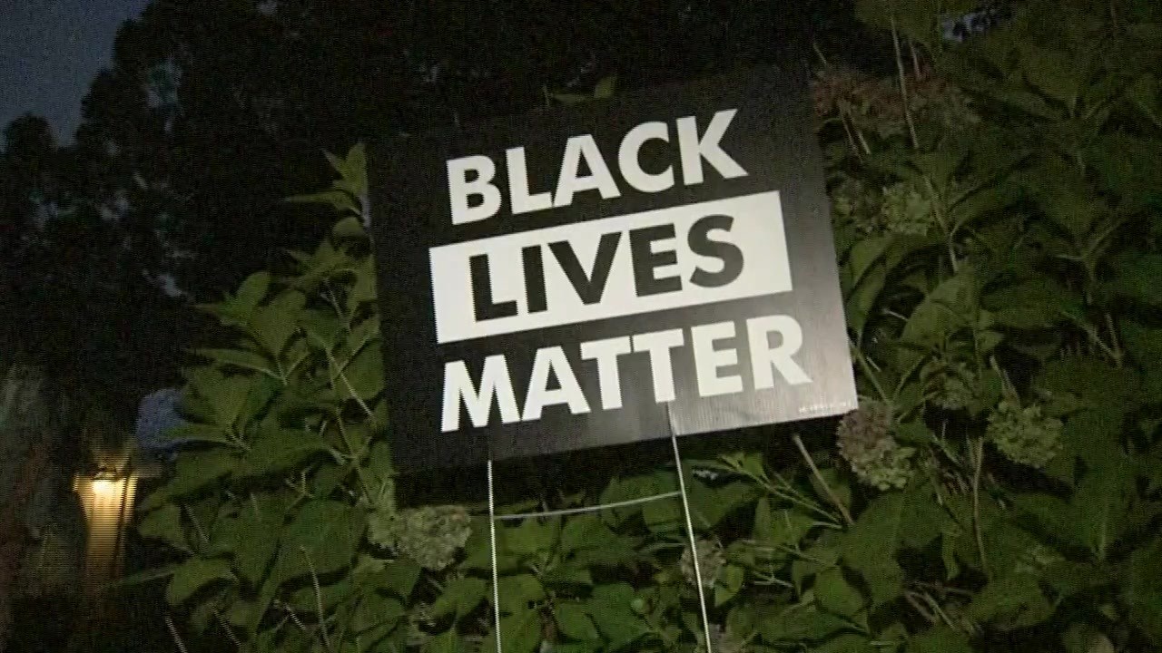 Blm Signe Black Lives Matter executive accused of ‘syphoning’ $10M from BLM ...