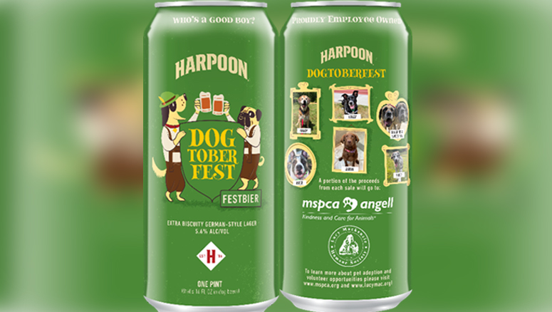 harpoon beer review