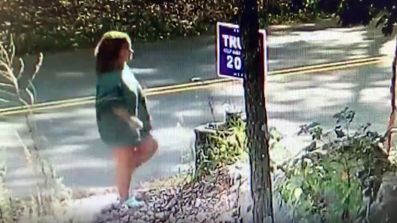 Georgetown Police Seek Help Identifying Woman Caught On Camera Stealing Trump Sign Boston News 