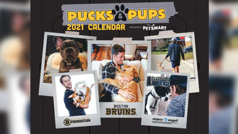 Boston Bruins selling ‘Pucks and Pups’ calendars to raise money for