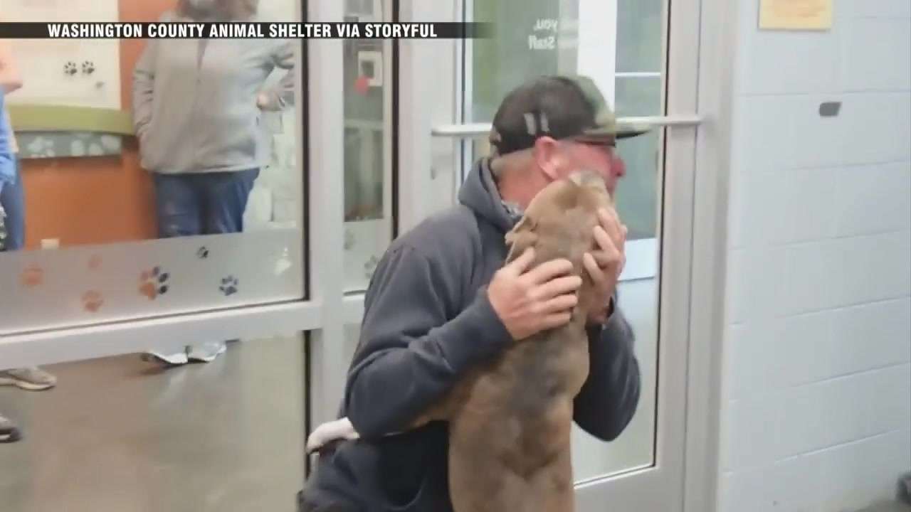 WATCH: Man reunited with dog who went missing for 6 months in adorable ...