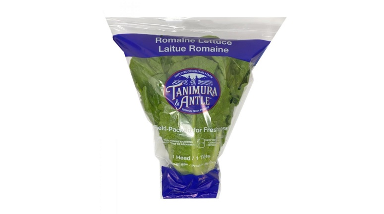 Company recalls romaine lettuce distributed to Mass. due to possible E