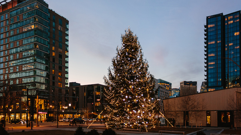 Boston's Seaport to transform into enchanted wonderland with winter games,  Christmas tree market, holiday decor - Boston News, Weather, Sports