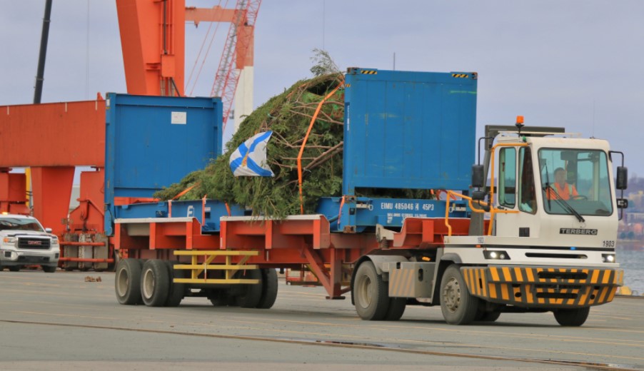 Christmas tree from Nova Scotia to arrive at Boston Common on Friday