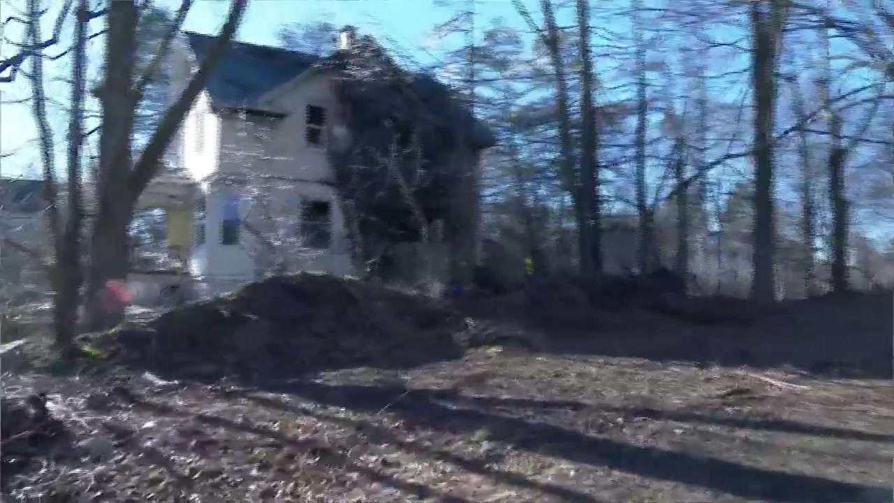 ‘She is a hero’: Dog credited with alerting owner to house fire in RI ...