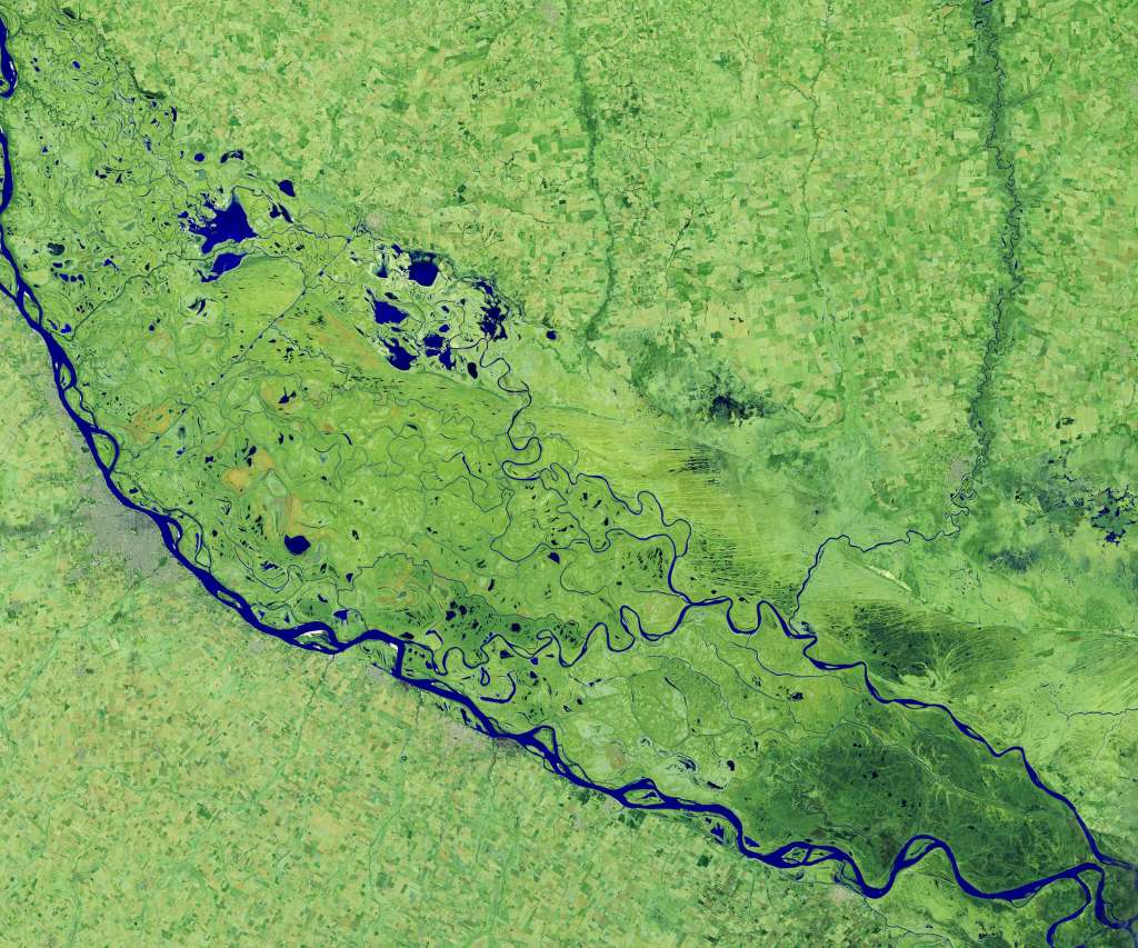 Parana River Satellite Image
