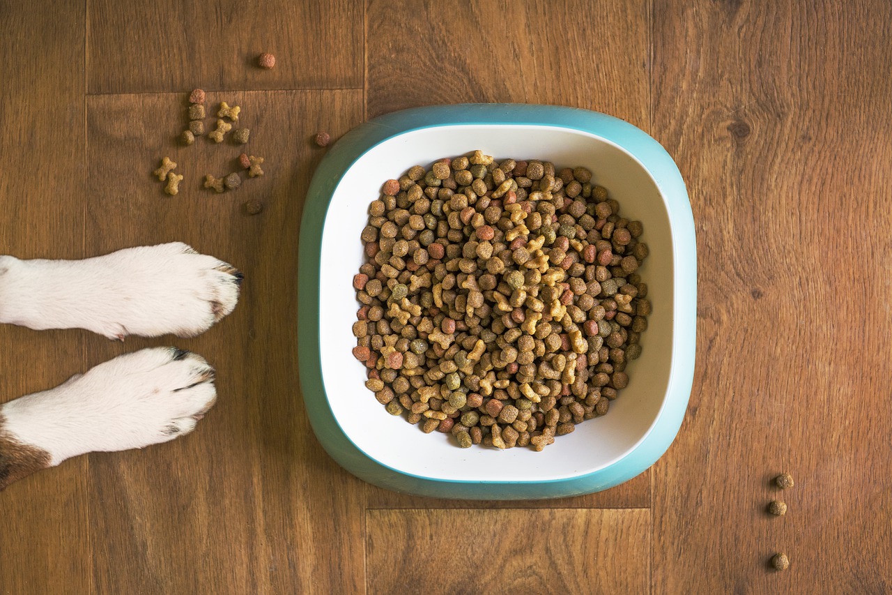 Tufts University study finds link between certain dog foods, heart