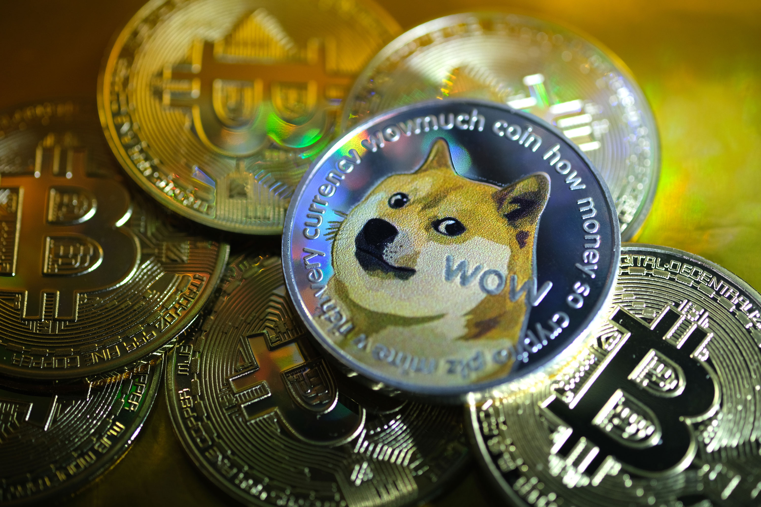 1000 shares of dogecoin worth