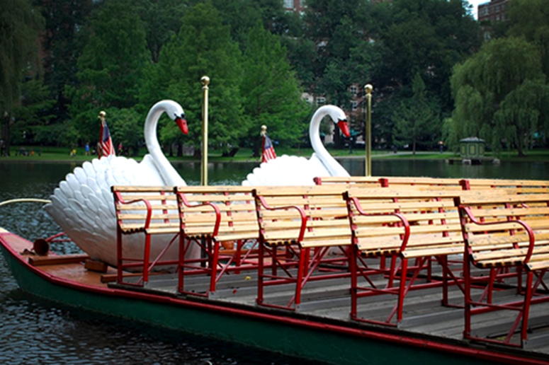 Iconic Swan Boats Returning To Boston Public Garden Next Month Boston