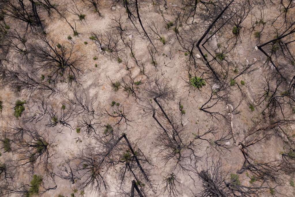 California drought