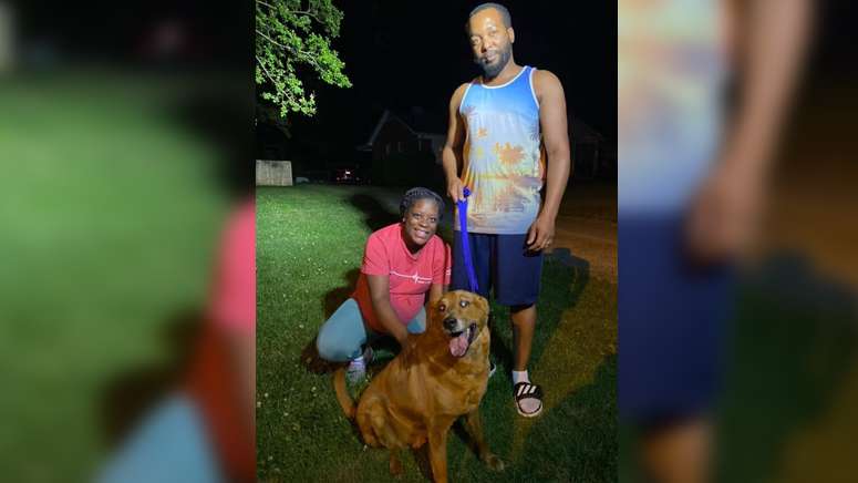 Blind dog who went missing for 2 years found 3.5 miles away from home ...