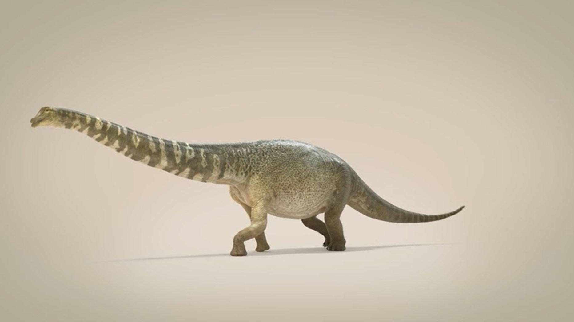 Scientists Confirm Discovery Of Australia’s Largest Dinosaur, Two ...