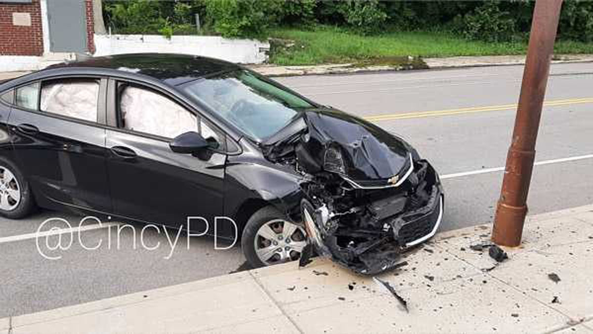 Amorous cicada blamed for causing car crash in Cincinnati