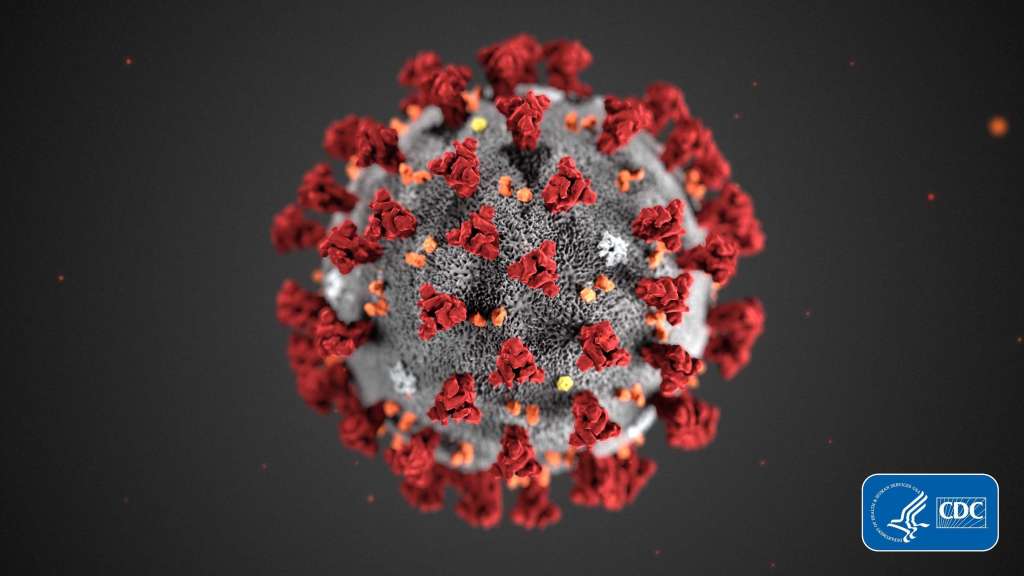 CDC Coronavirus Illustration