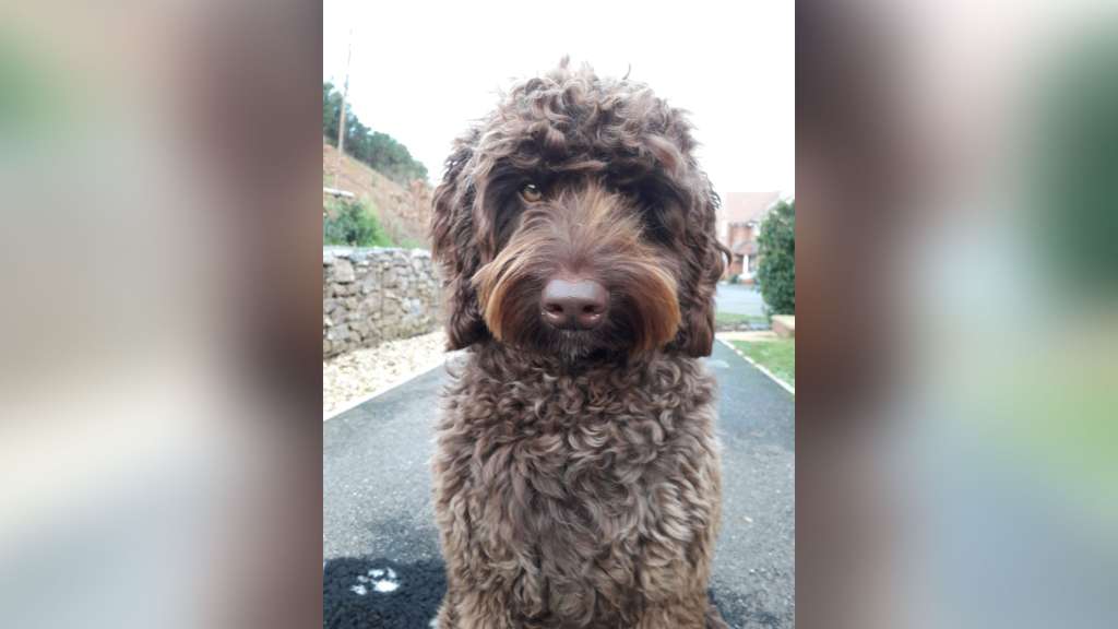 Digby