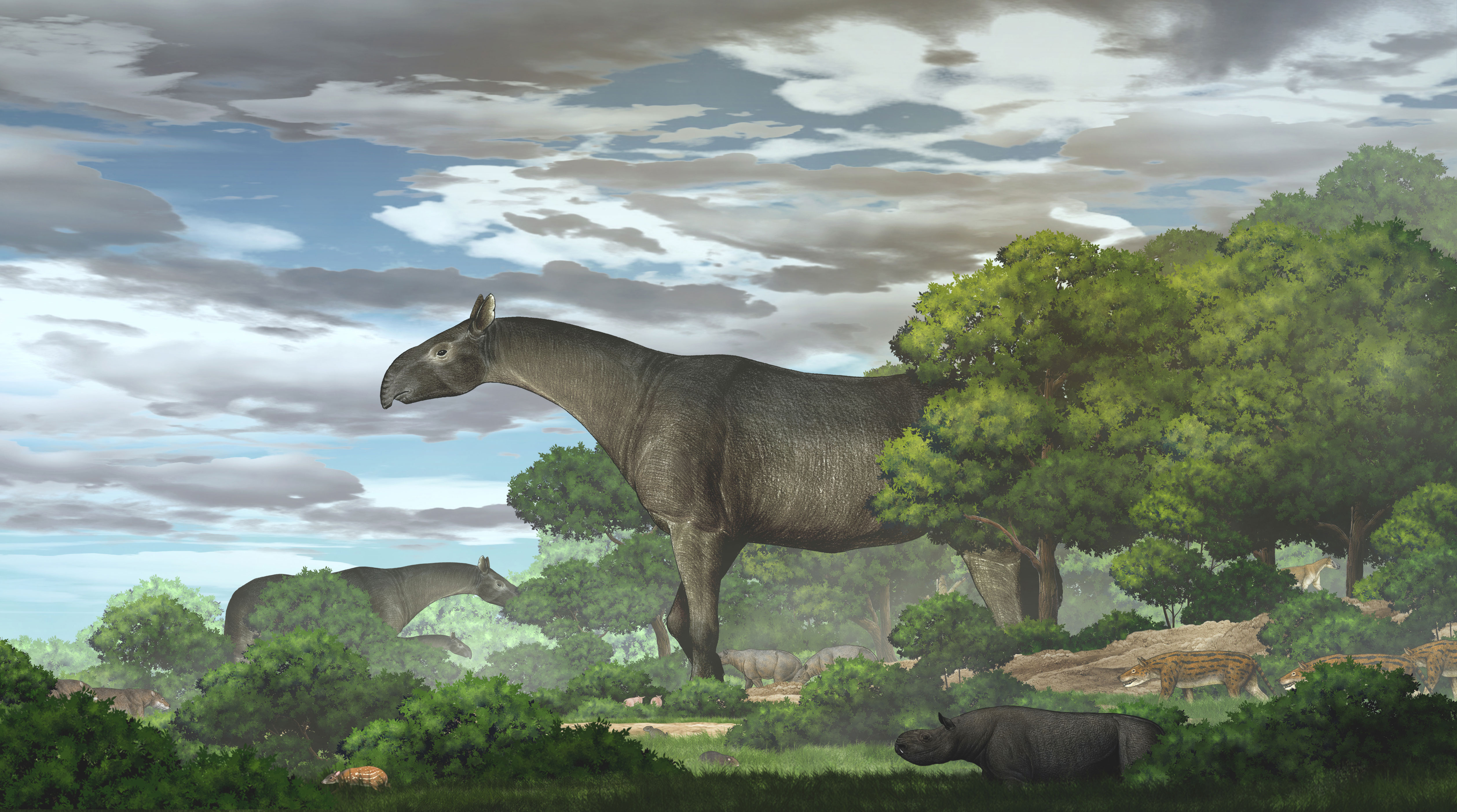this-giant-prehistoric-rhino-was-the-biggest-land-mammal-to-walk-the
