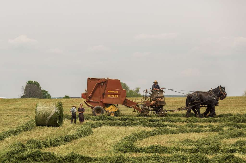 red and black tractor on green grass field