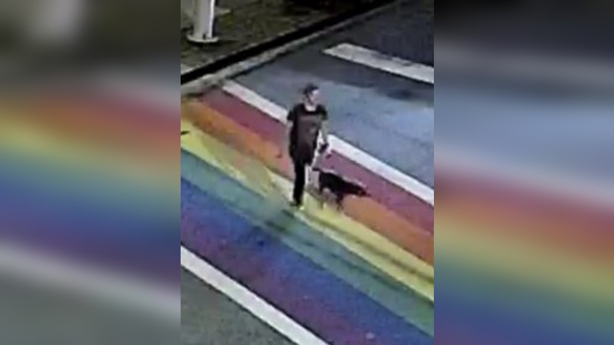 Woman walking her dog in park stabbed to death - Boston News, Weather ...