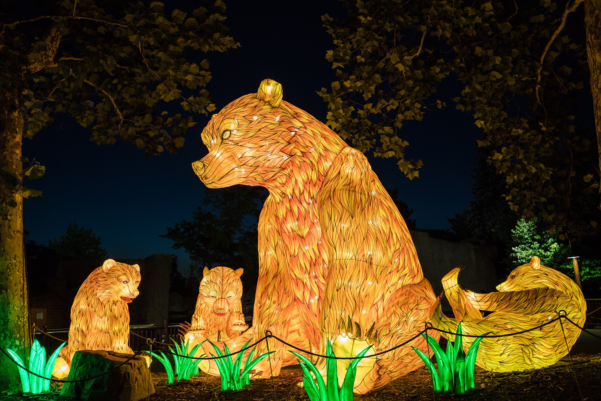 More Than 60 Magnificent Luminous Displays To Light Up Night Sky At   Zoo Lights 