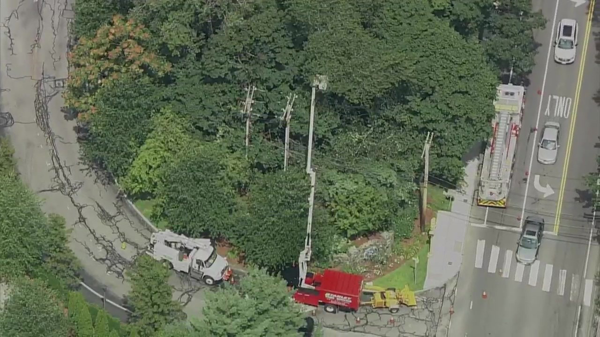 Tree trimmer rescued after getting stuck in bucket in Waltham - Boston ...