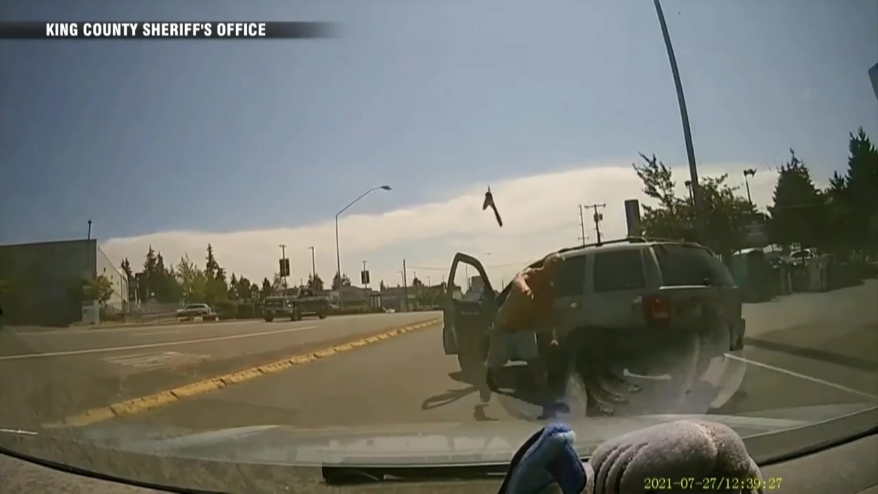 WATCH Dashcam video shows driver throwing hammer through windshield of