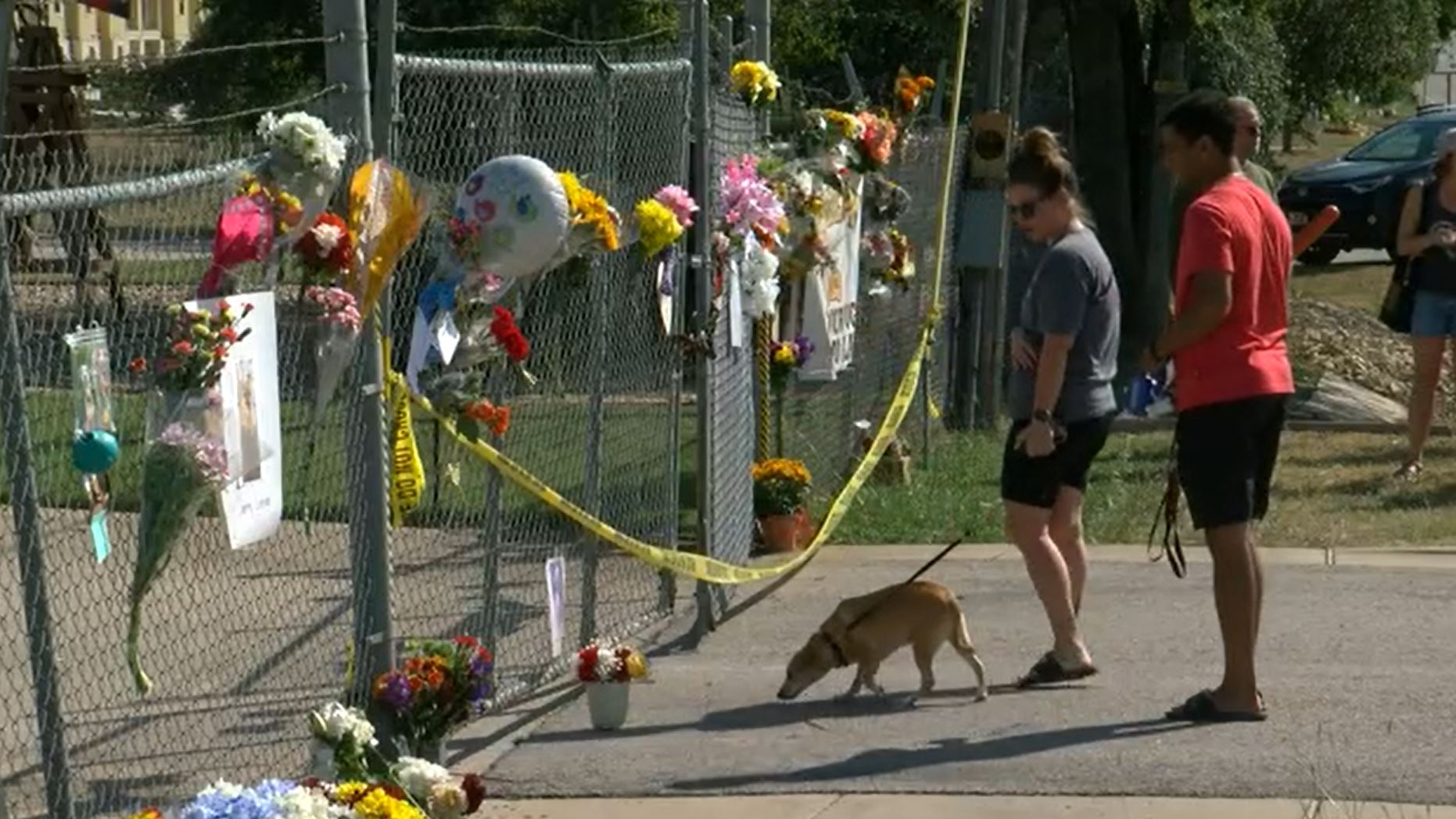 Fire at petboarding facility leads to deaths of 75 dogs Boston News