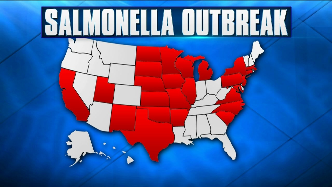 Officials Investigating Cause Of ‘fast-growing’ Salmonella Outbreak In ...