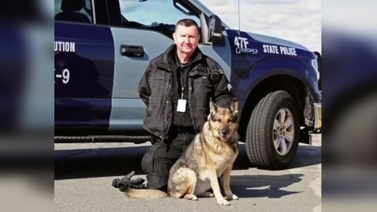 Mass state deals police k9 unit