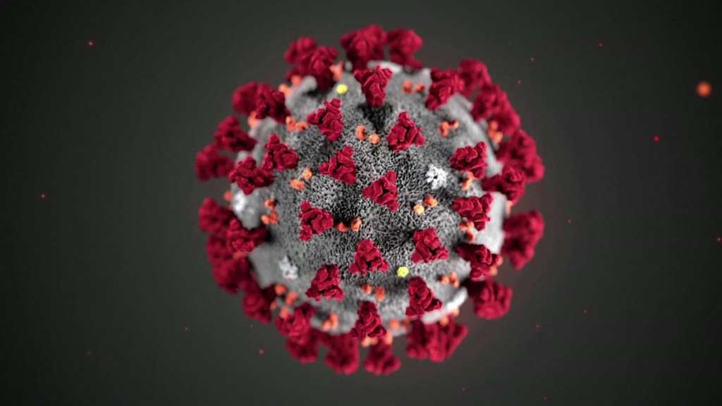 Coronavirus CDC image