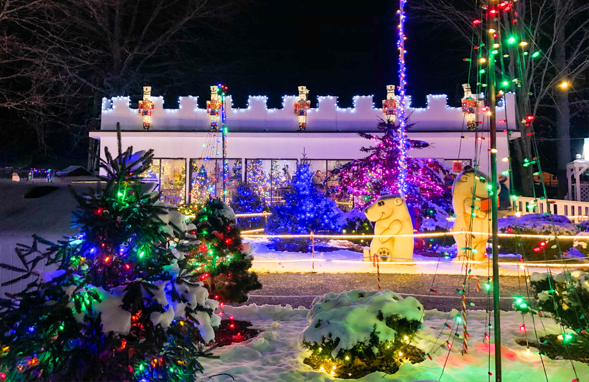 Dazzling holiday lights display at Stone Zoo opens Friday Boston News
