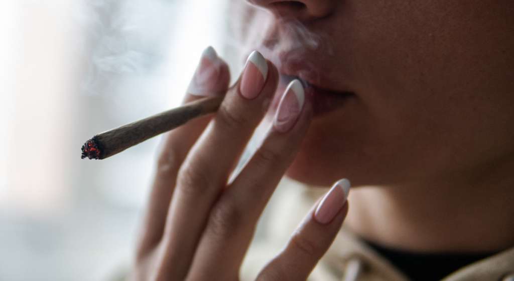Cannabis during pregnancy