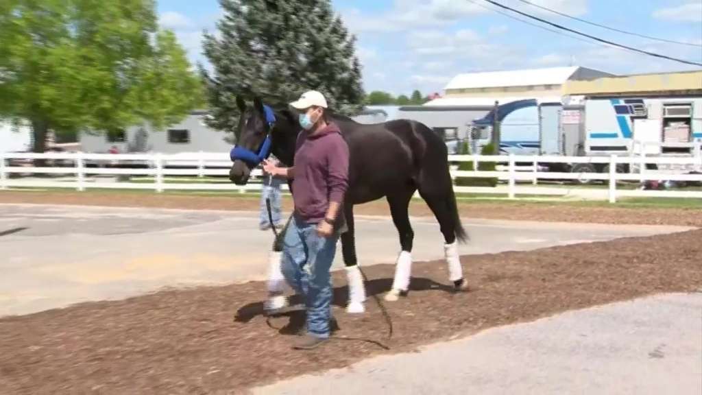 Kentucky Derby winner Medina Spirit collapses, dies Boston News