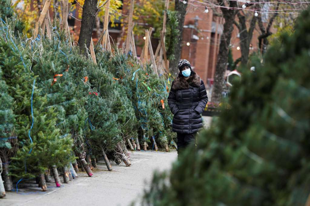 Christmas Trees