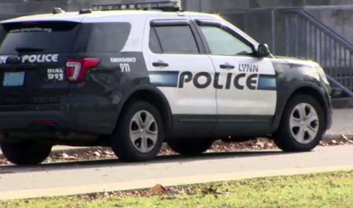 Police urge gunman to come forward after dog found shot in Lynn ...